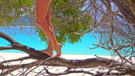 woman sits in bikini on tree branch at a beautiful beach