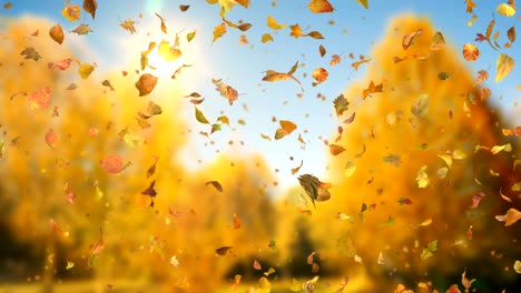 autumn fall leaves sideways - realistic falling leaves video background loop