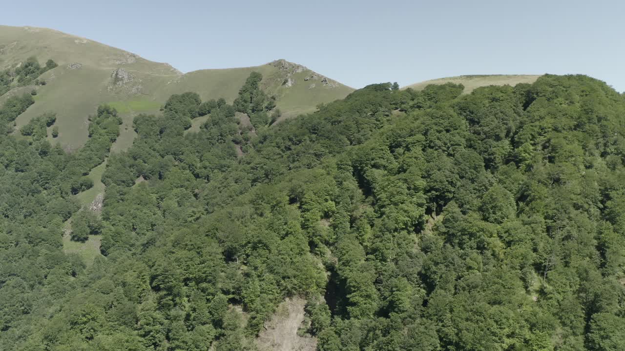 Aerial view looking down onto dense green forest covering mountainside slopes, Col de Sourzay, Lecumberry, France
