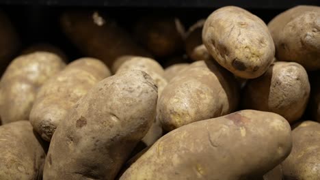 large, idaho organic russet potatoes in a big pile at the farmer's market - sliding isolated close up view