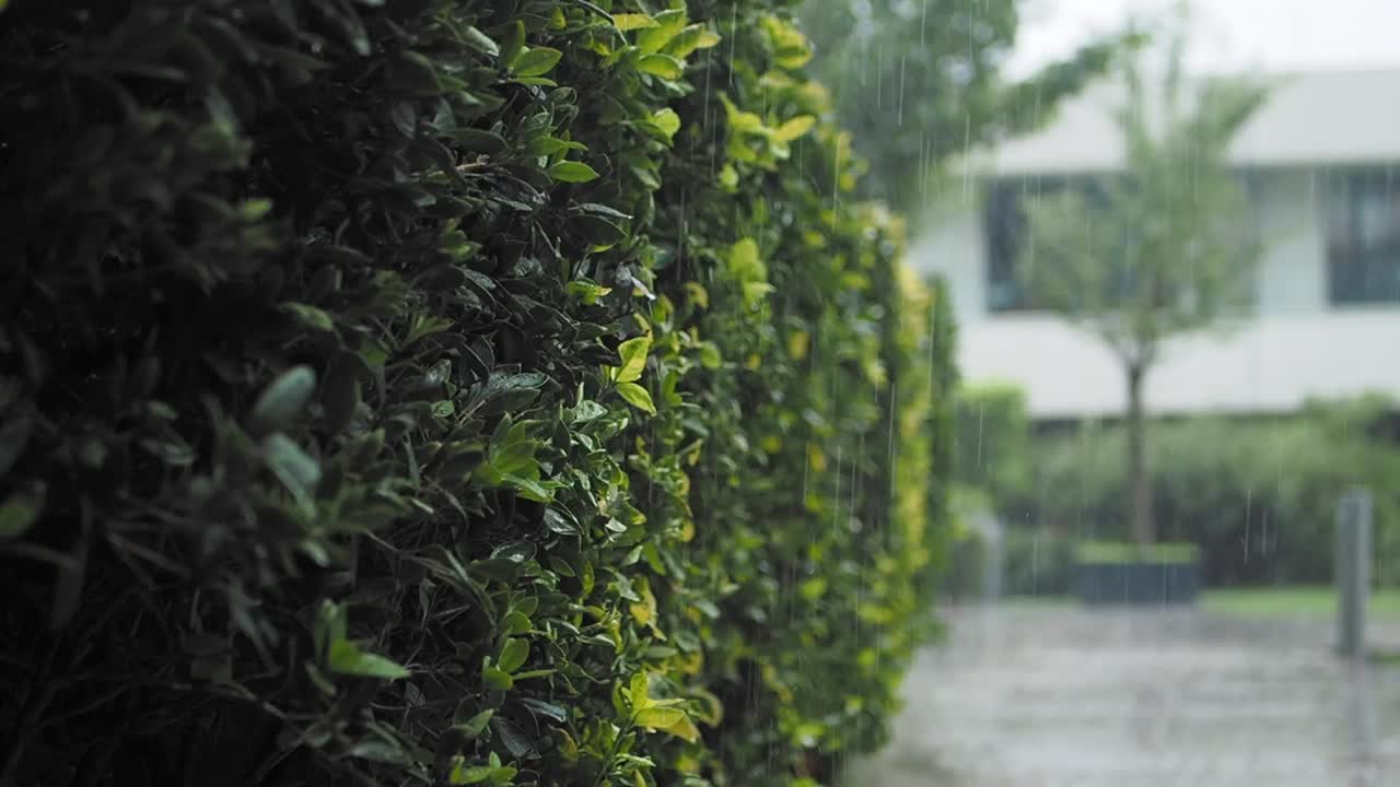chuva caindo em uma cerca verde com uma casa ao fundo