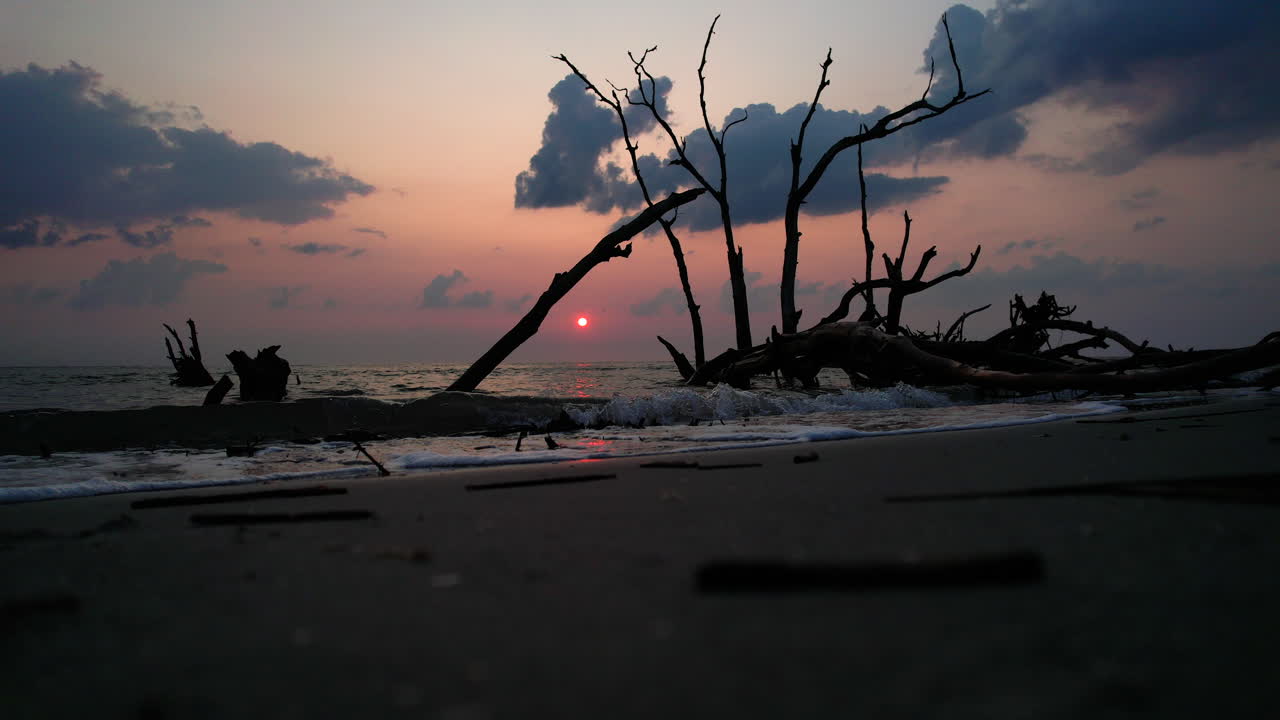 A low angle drone shot of a beach with dead trees during sunrise.