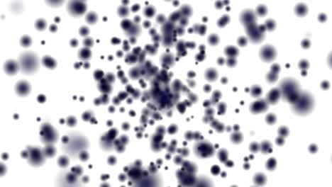 círculos oscuros borrosos bokeh volando sobre fondo blanco animación de movimiento de círculos borrosos efecto desenfocado composición horizontal calidad de video 4k