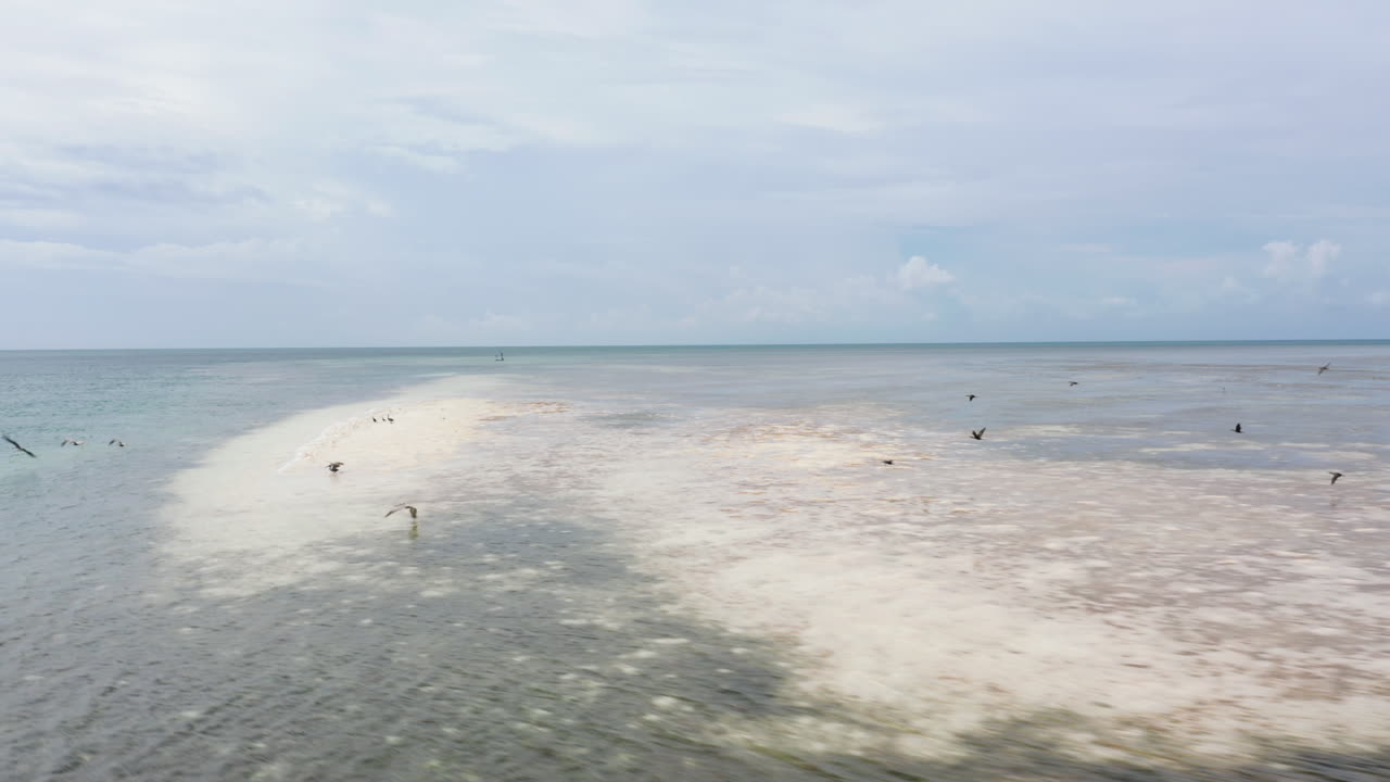 Low flight above shallow water surface along sea coast