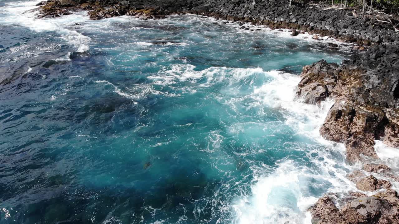 tortugas flotando en las olas en una vista en movimiento hacia adelante de los acantilados volcánicos de hawai