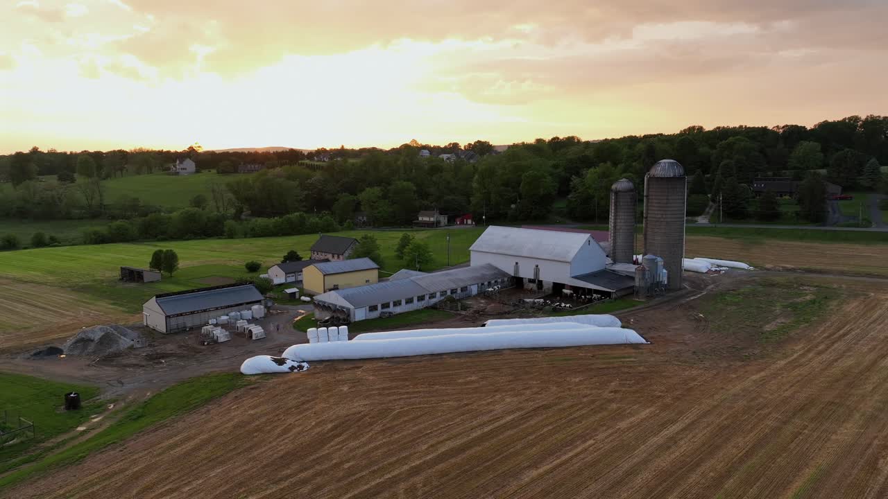 Golden sunset on agricultural farm of United States. Idyllic and charming serene atmosphere in rural area of Town,. Silo storage, house, barn and dairy. Aerial orbit shot. Midwest America.