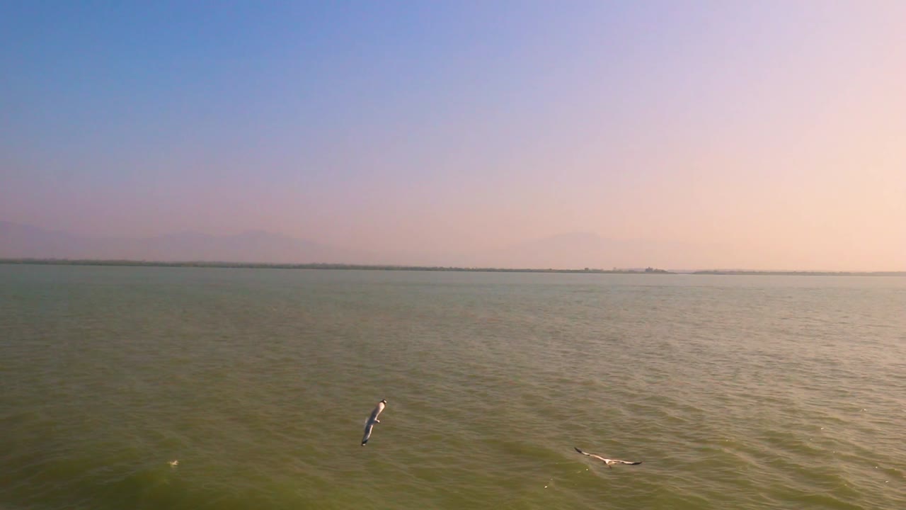 갈매기는 세인트로가는 길에 과거를 날아