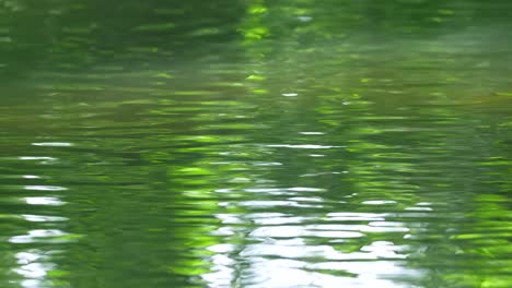 ripples and reflections in the river in slow motion, half speed