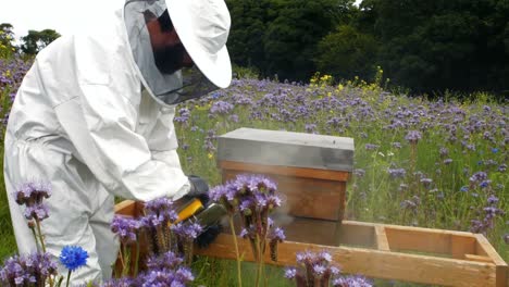 Imker-Benutzt-Bienenraucher