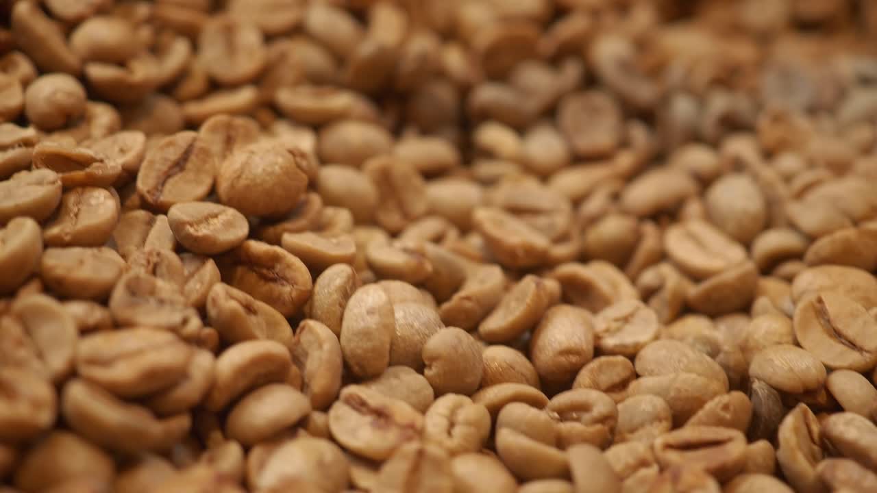 커피 콩 의 근접적 인 모습