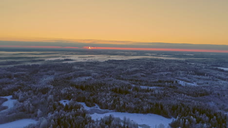 aerial view sunrise over snow covered spruce forest and fields