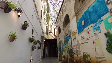 alley in the casbah of algiers with flowerpot on the wall