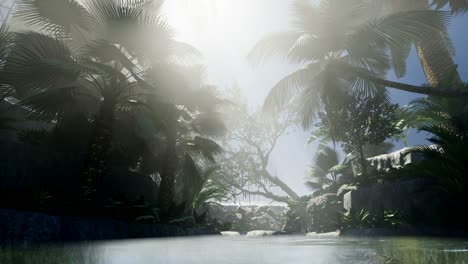 Sunset-Beams-through-Palm-Trees