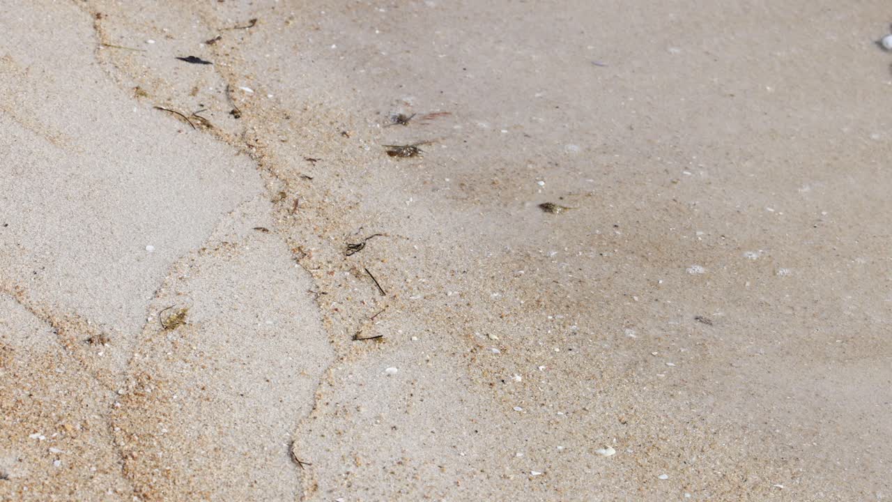 모래 해변을 부드럽게 는 파도