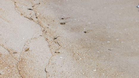 waves gently washing over sandy beach shore