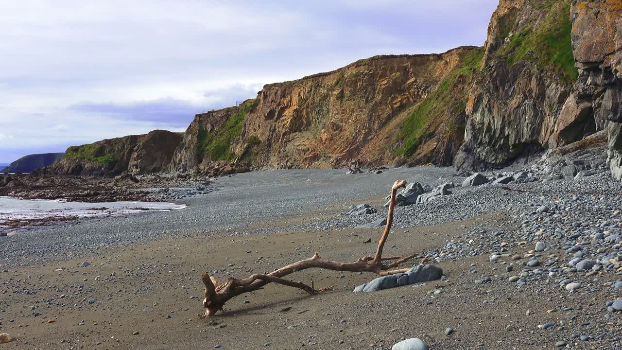 Ireland Epic Beaches and locations driftwood on pebble beach Copper Coast Waterford on a spring afternoon