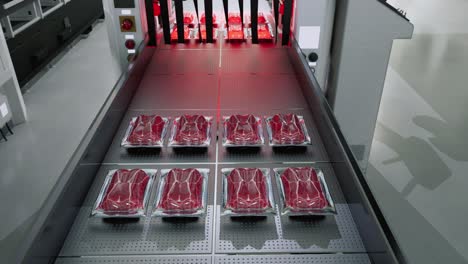 packaged raw meat trays on a conveyor belt in a factory