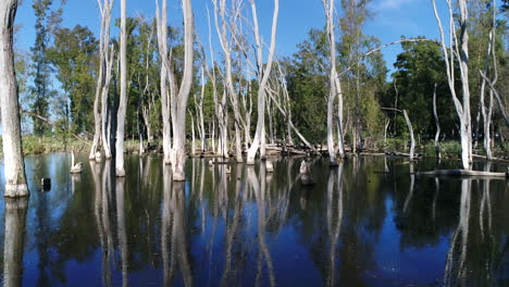 Flood-in-a-forest,-drone-slowly-going-forward