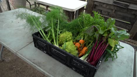 fresh produce sits in a basket