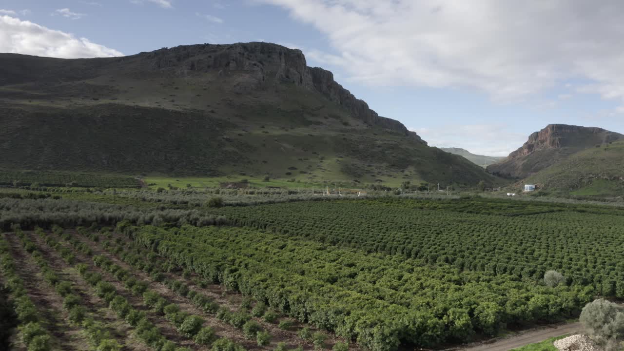 과수원 과 산악 풍경 의 공중 사진