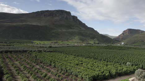 vista aérea de un huerto de frutas y un paisaje montañoso