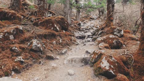 un video de pov de un excursionista caminando por un sendero de senderismo en nepal