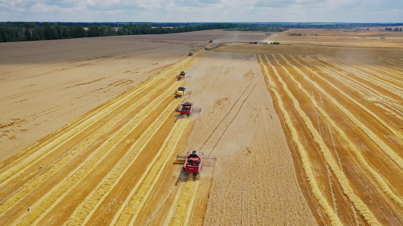 Aerial view of modern agricultural machinery working on the field. Many combine harvesters gathering ripe grains on the yellow background of field in rural place.