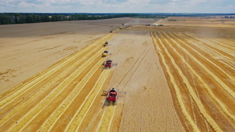aerial view of modern agricultural machinery working on the field. many combine harvesters gathering ripe grains on the yellow background of field in rural place.