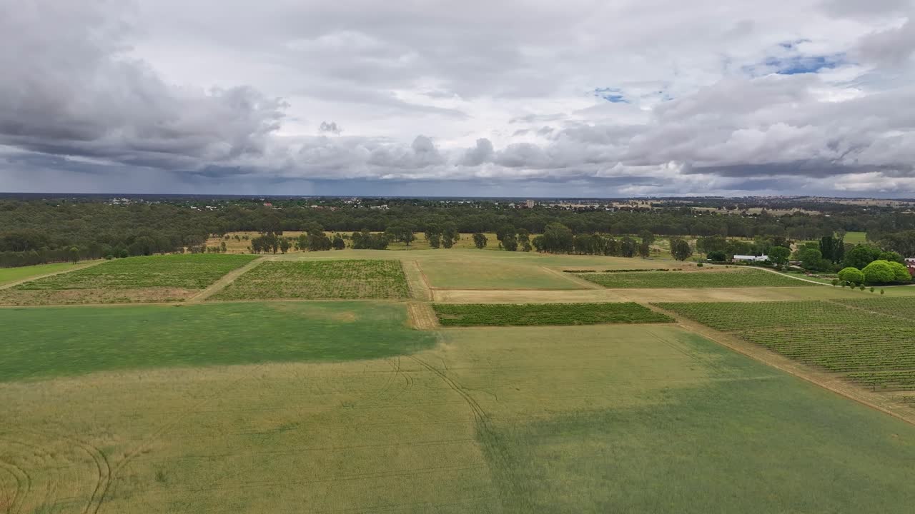 Rise up over crops and vineyards with Corowa NSW Australia beyond