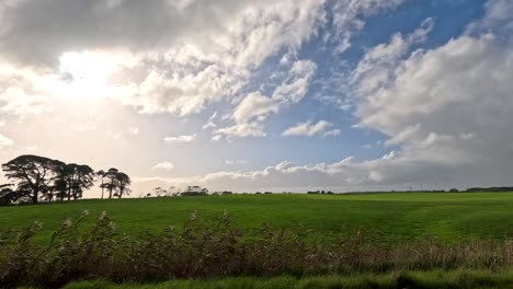 scenic drive through fields and trees at sunset