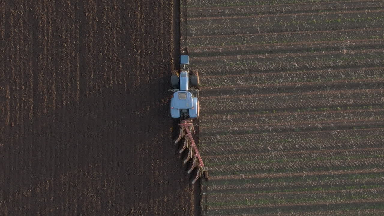 Vista aerea di un trattore agricolo che ara un campo ad Aberdeenshire in una giornata di sole, Scozia