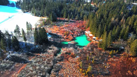 Aerial-4K-drone-footage-of-Zelenci-Springs