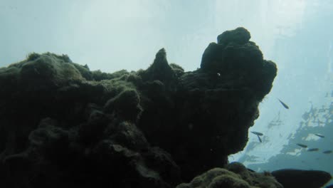 Underwater-shot-of-corals-and-snorkeling-woman-seen-from-a-bottom-of-Andaman-Sea-in-Thailand