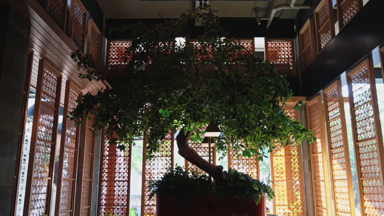 해가 지는 동안 발리 호텔 로비 앞 입구 에 있는 본사이 나무