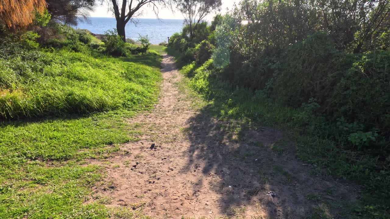 해변으로 이어지는 경치 좋은 길