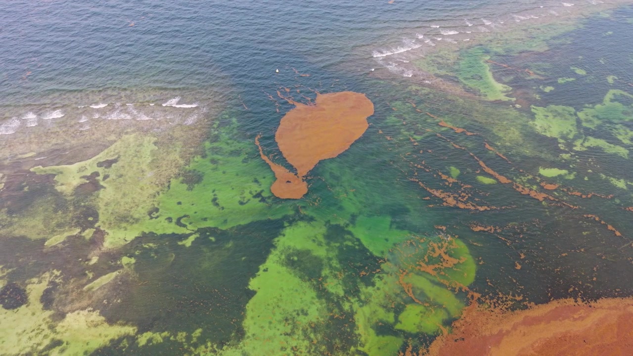 Beautiful aerial of Mahahual with reef-protected shoreline