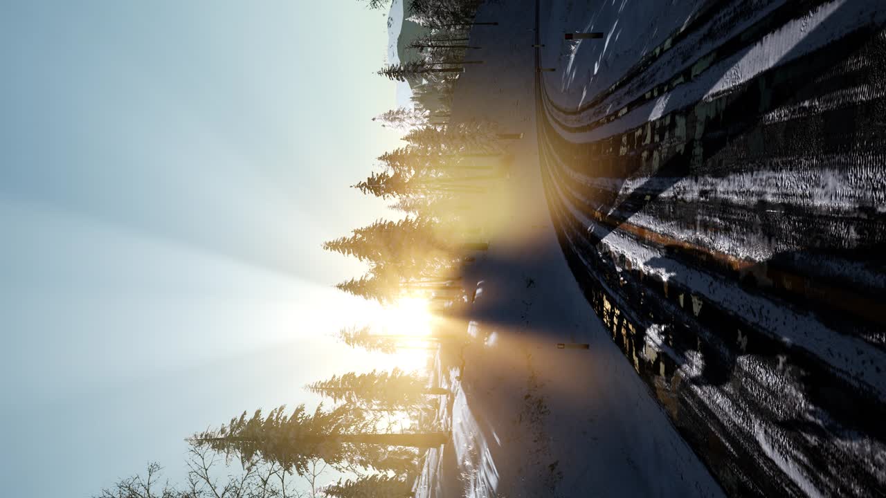 полет над зимним лесом