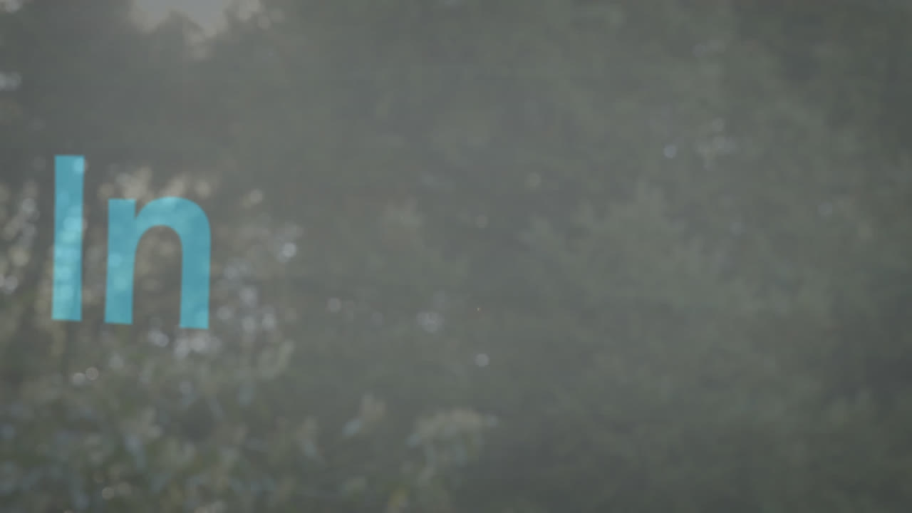 animación de negocios y textos de motivación sobre el bosque