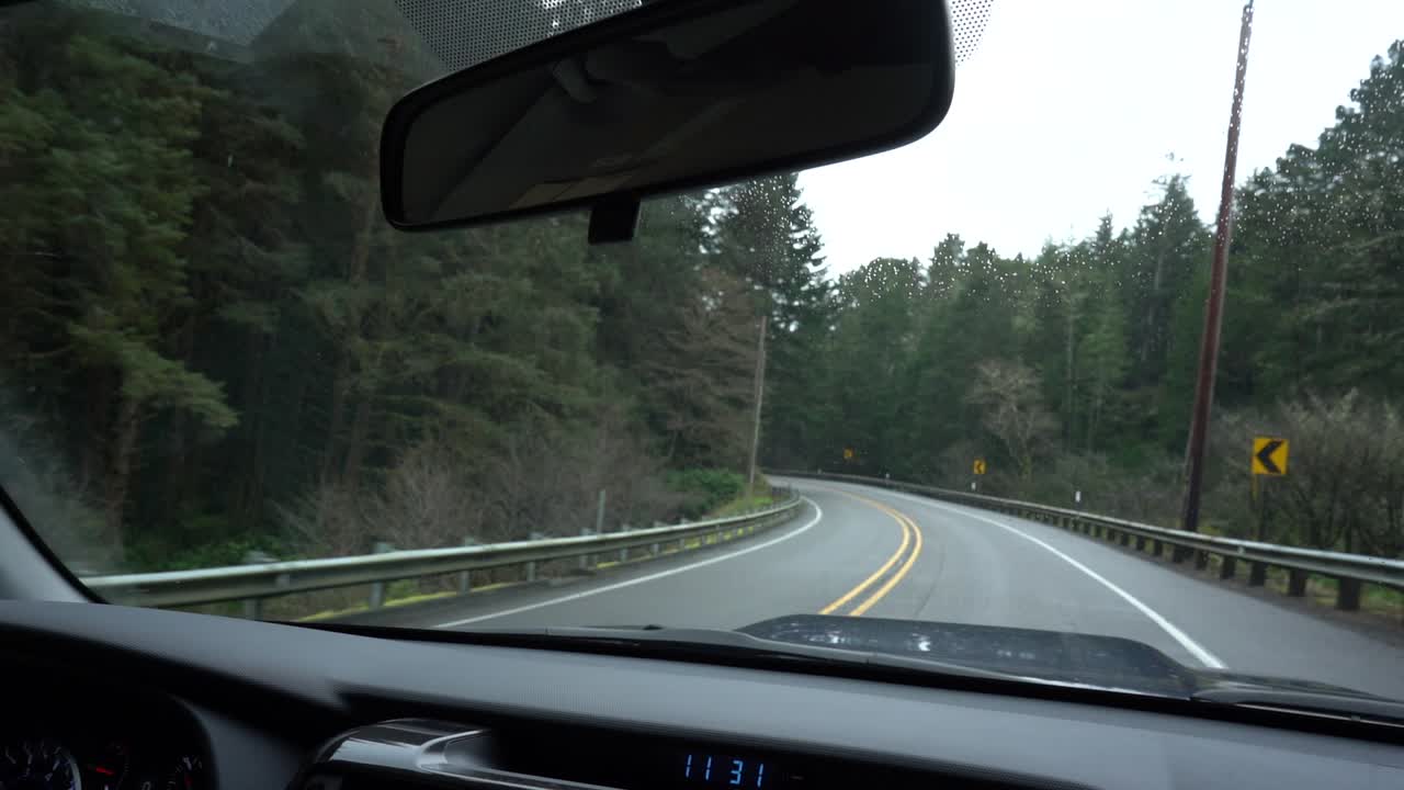guidando attraverso una grande foresta in una giornata nuvolosa