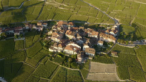 typical houses at epesses village with lavaux vineyards during sunset in switzerland