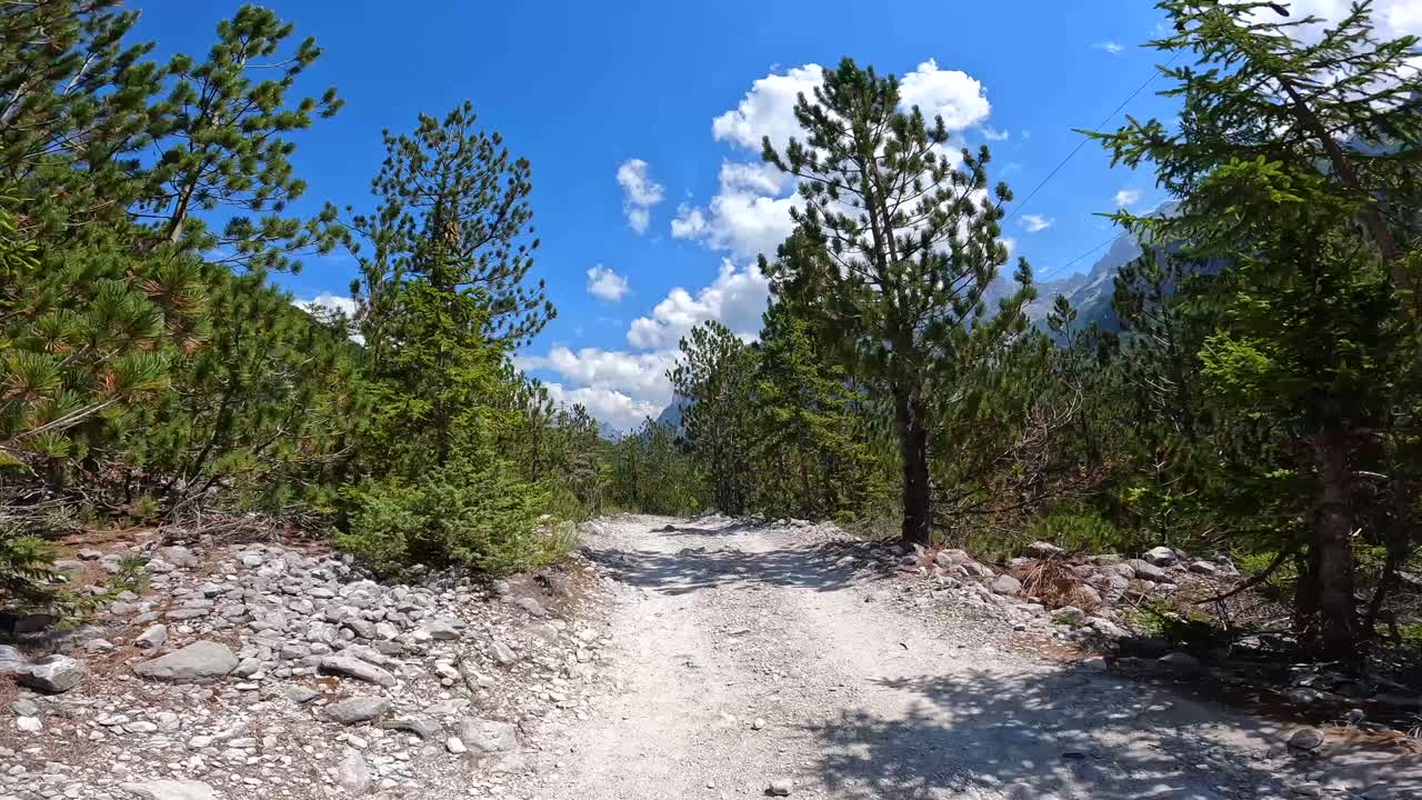 Sendero forestal panorámico con vistas a la montaña