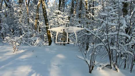 Quadrocopter-Volando-Ramas-Nevadas-En-El-Bosque.