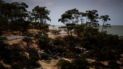 Serene coastal landscape with winding road and lush trees near water