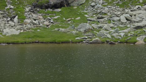 Ruhiger-Grüner-Fluss-Bei-Kampagnenwanderung-In-Valmalenco,-Provinz-Sondrio,-Lombardei,-Italien