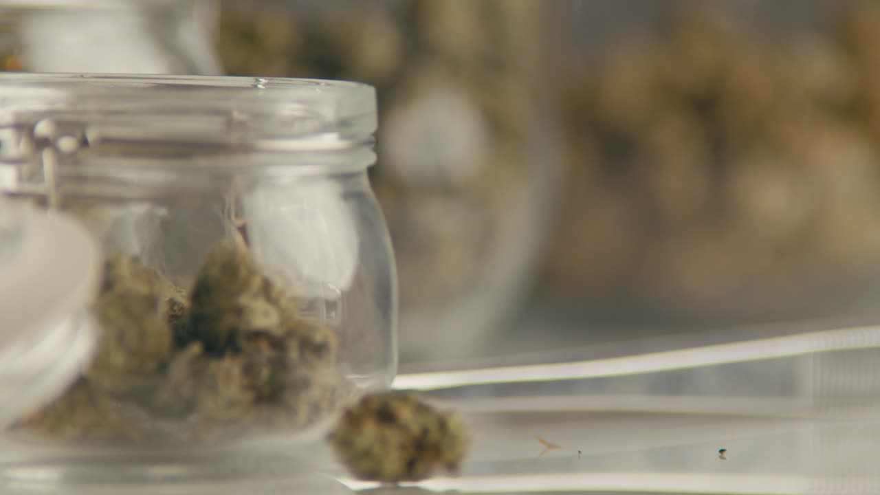 Cannabis i glasbeholdere.