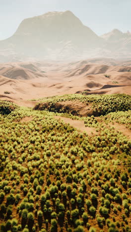 arid mountain landscape