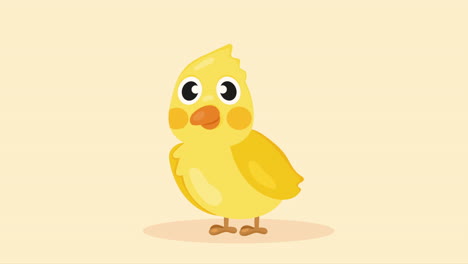 little and cute yellow bird animation