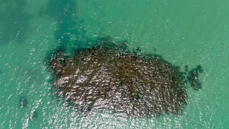 above aerial shot of crystal clear turquoise caribbean waters