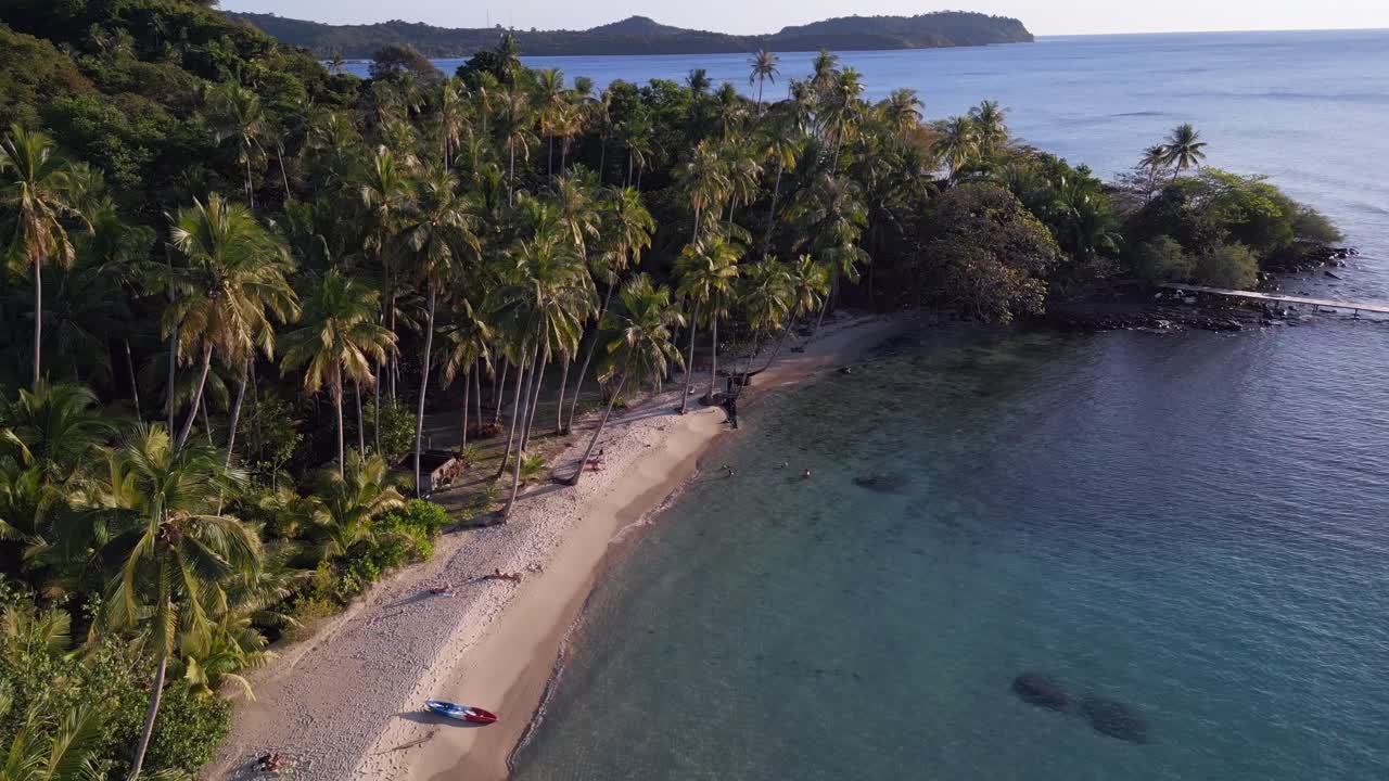 canoa en una playa solitaria bajo palmeras