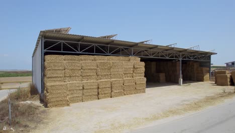 estructura agrícola de paja en kibbutz alumin sdot negev, israel